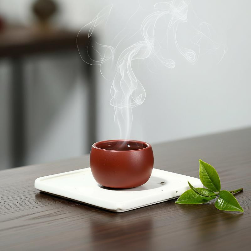 Yixing Purple Clay Travel Tea  - Handmade Ceramic Mug review and price